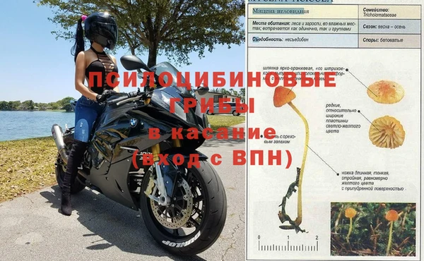 mdma Осинники